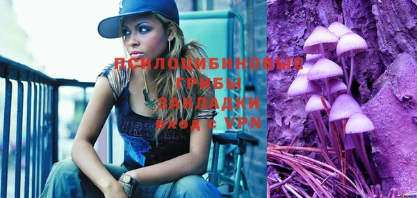 mix Осинники