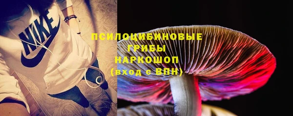эйфоретик Пересвет
