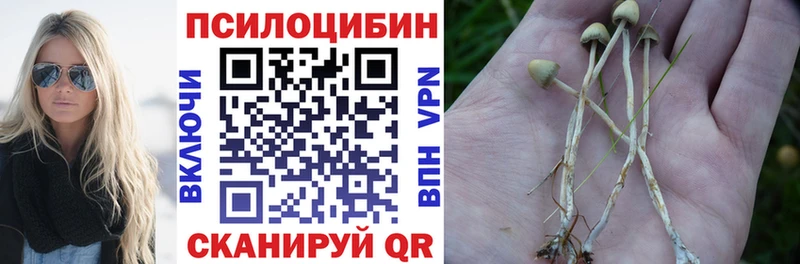 купить наркотик  Серпухов  Псилоцибиновые грибы GOLDEN TEACHER 