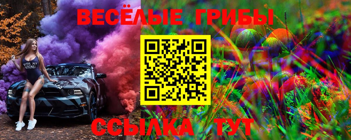 Псилоцибиновые грибы Cubensis Серпухов