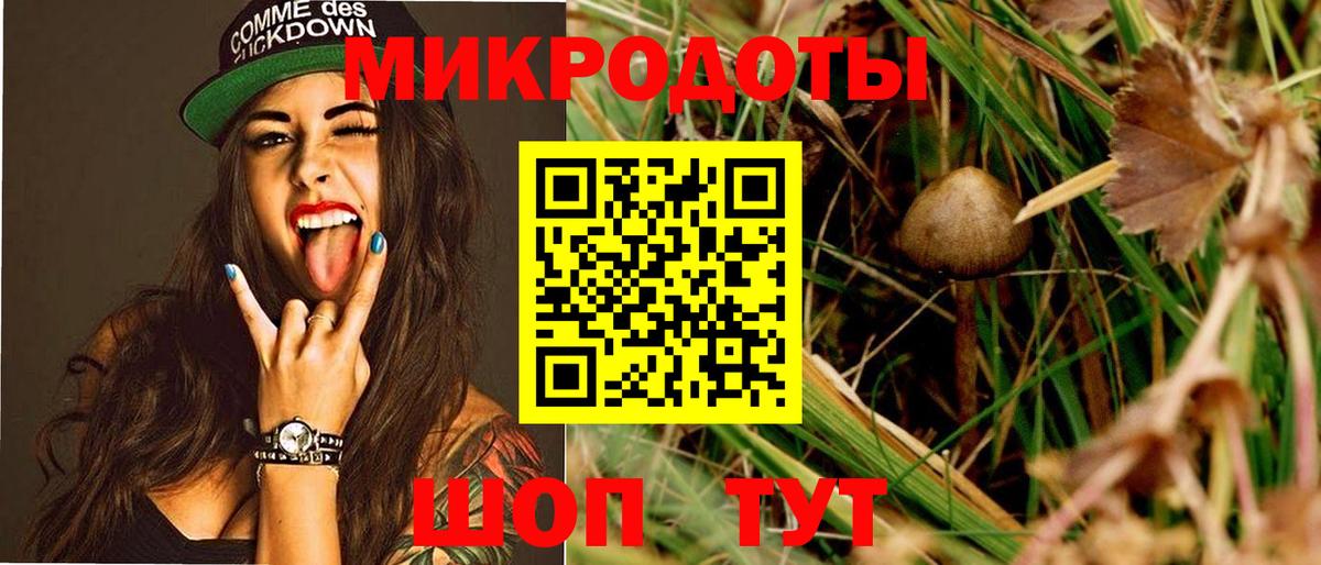 Галлюциногенные грибы Cubensis  продажа наркотиков  Серпухов  Галлюциногенные грибы GOLDEN TEACHER  Вход с VPN 